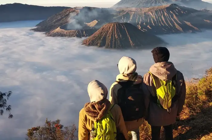 bromo.webp